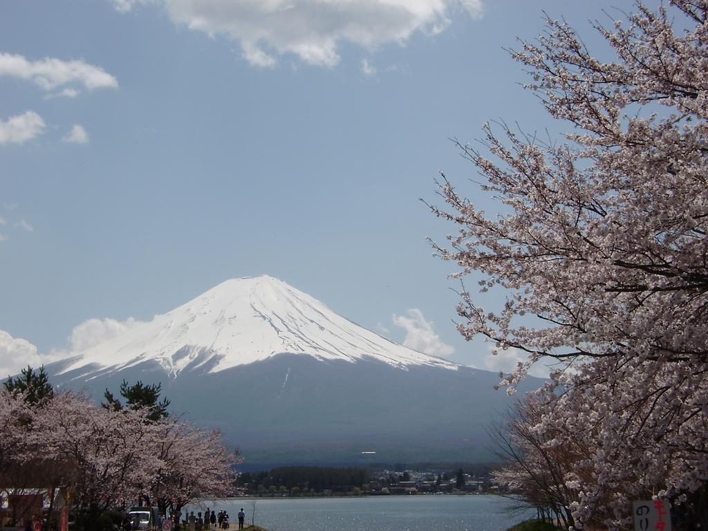 Villa Lupinus Kawaguchiko Fujikawaguchiko Extérieur photo