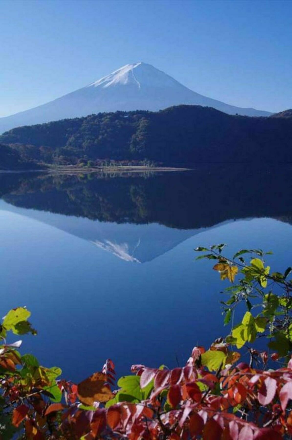 Villa Lupinus Kawaguchiko Fujikawaguchiko Extérieur photo